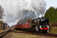 Oliver Cromwell on the TPO