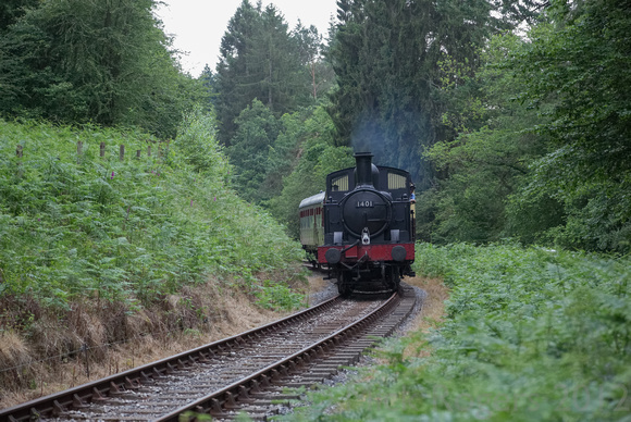 1401 in the Forest of Dean I